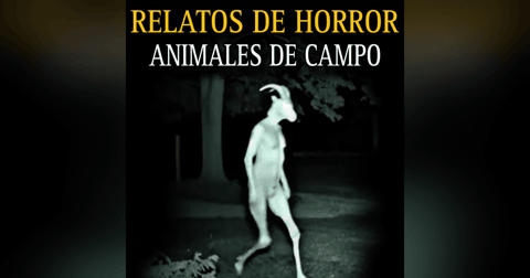 Animales de Campo Actuando como Humanos / El perro que era Nahual Animales de Campo Actuando como Humanos / El perro que era Nahual