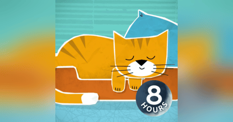 Cat Purring Sounds 8 Hours with White Noise Kitten Purring for Sleep or Relaxation Cat Purring Sounds 8 Hours with White Noise Kitten Purring for Sleep or Relaxation