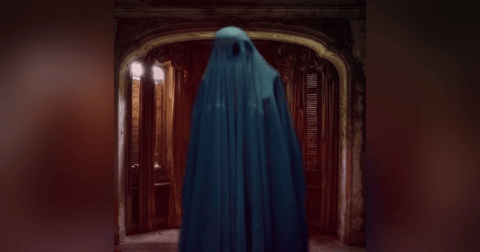 El Perro Y La Niña (DON CHUY) Historias De Terror - REDE El Perro Y La Niña (DON CHUY) Historias De Terror - REDE