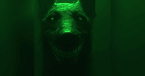 Los NAHUALES Del MONTE Historias De Terror - REDE Los NAHUALES Del MONTE Historias De Terror - REDE