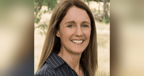 #32: Healthy healthcare teams. With Roz Lindsay #32: Healthy healthcare teams. With Roz Lindsay