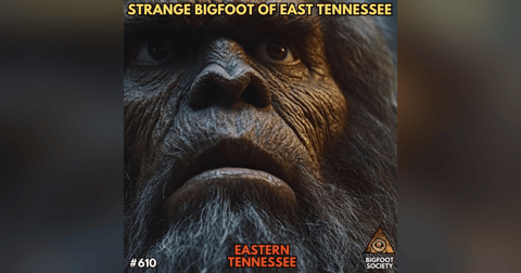 Strange Bigfoot in Eastern Tennessee with Matt Seeber Strange Bigfoot in Eastern Tennessee with Matt Seeber