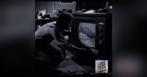 David Cronenberg - Videodrome David Cronenberg - Videodrome