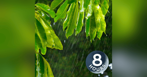 Spring Rain Sounds to Relax, Sleep or Focus | Rainstorm White Noise 8 Hours Spring Rain Sounds to Relax, Sleep or Focus | Rainstorm White Noise 8 Hours