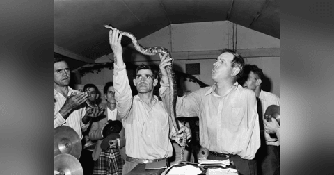 10. Alabama Snake Preacher 10. Alabama Snake Preacher