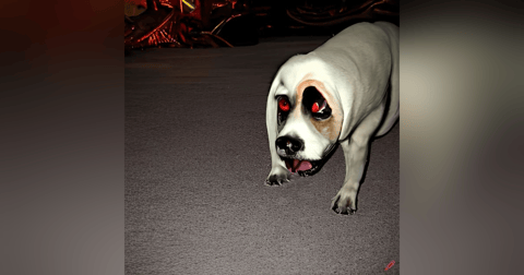 Historias de Miedo Febrero 24 de 2023 LOS PERRITOS Historias de Miedo Febrero 24 de 2023 LOS PERRITOS