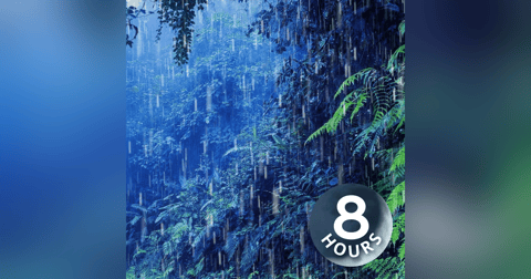 Rain White Noise for Sleep & Relaxation 8 Hours Rain White Noise for Sleep & Relaxation 8 Hours