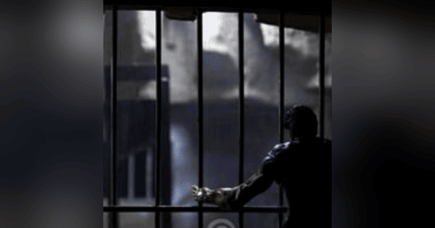 Seres En La Prisión Historias De Terror - REDE Seres En La Prisión Historias De Terror - REDE