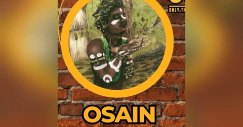 Osain Ozain Osayin Osanyin Orisha Herbs Ewe Lukumi Santeria Ifa Nature Tradtitonal Medicine Osain Ozain Osayin Osanyin Orisha Herbs Ewe Lukumi Santeria Ifa Nature Tradtitonal Medicine