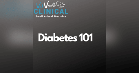 Diabetes 101: Everything insulin Diabetes 101: Everything insulin