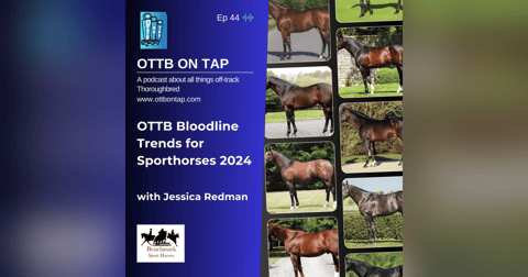 Ep 44: OTTB Bloodline Trends for Sporthorses 2024 with Jessica Redman Ep 44: OTTB Bloodline Trends for Sporthorses 2024 with Jessica Redman