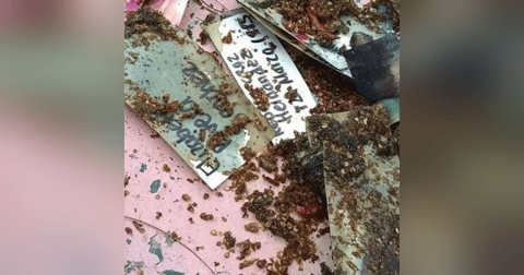 Historias de Miedo Marzo 22 2021 BRUJERÍAS Historias de Miedo Marzo 22 2021 BRUJERÍAS