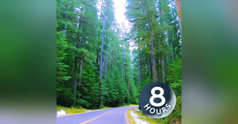 Car Sounds White Noise for Sleep or Studying | 8 Hours Car Sounds White Noise for Sleep or Studying | 8 Hours