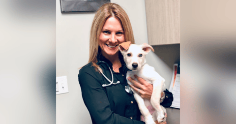 #36: The pursuit of guilt-free practice ownership. With Dr Kathy Anderson. #36: The pursuit of guilt-free practice ownership. With Dr Kathy Anderson.