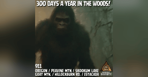 Bigfoot in the Meadow — And He Had No Idea We Were Watching | Oregon Bigfoot in the Meadow — And He Had No Idea We Were Watching | Oregon