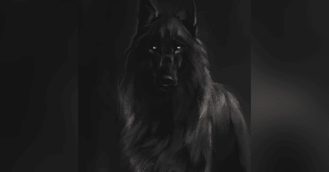 El Ataque De Un Perro Demoniaco Historias De Terror - REDE El Ataque De Un Perro Demoniaco Historias De Terror - REDE