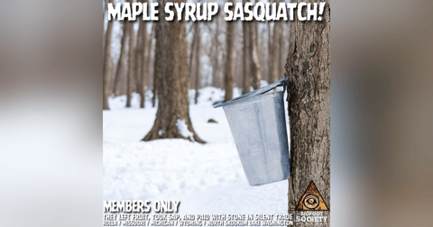 Bigfoot Steals Maple Sap in Missouri! | Members Only Episode A17 PREVIEW Bigfoot Steals Maple Sap in Missouri! | Members Only Episode A17 PREVIEW