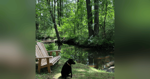 12. Solitude 12. Solitude