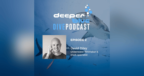 The Day Diving Stood Still, and Underwater Cameraman David Diley The Day Diving Stood Still, and Underwater Cameraman David Diley