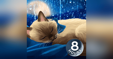 Relaxing Rain Outside Your Window | 8 Hour Rain Sounds to Sleep/Study To Relaxing Rain Outside Your Window | 8 Hour Rain Sounds to Sleep/Study To