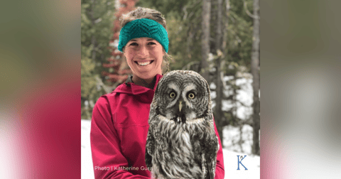 59. Phantom Owl | A Conversation with Wildlife Ecologist Dr. Katherine Gura 59. Phantom Owl | A Conversation with Wildlife Ecologist Dr. Katherine Gura