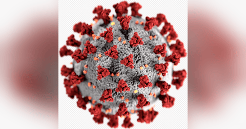 New Directives from the CDC and Tara Burgio of ATI Shifts Production New Directives from the CDC and Tara Burgio of ATI Shifts Production