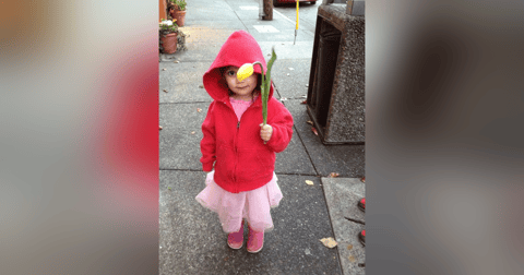 Kindness Rules - The Top 5 Ways of Showing Kindness Kindness Rules - The Top 5 Ways of Showing Kindness