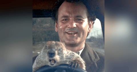 Biden vs Trump Rematch: Ground Hog Day! Biden vs Trump Rematch: Ground Hog Day!