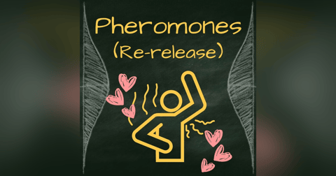 Bonus: Pheromones with commentary Bonus: Pheromones with commentary