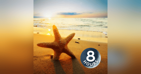 Beach Day 8 Hours | Ocean Sounds Help You Relax, Meditate or Fall Asleep Beach Day 8 Hours | Ocean Sounds Help You Relax, Meditate or Fall Asleep