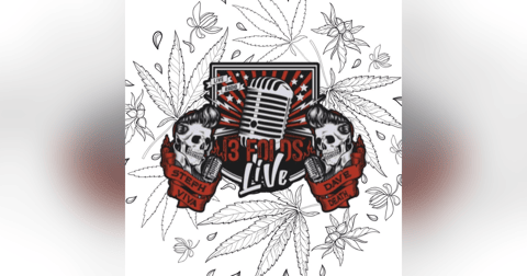 13 Folds Radio 13 Folds Radio