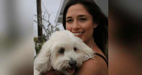 Understanding Pet Behavior; Denise Mange Understanding Pet Behavior; Denise Mange