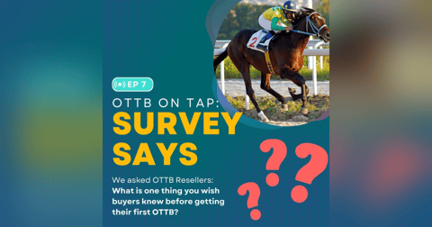 Ep.7 -- What Resellers Wish You Knew About OTTBs Ep.7 -- What Resellers Wish You Knew About OTTBs