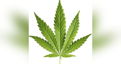 13 Folds Radio #55 13 Folds Radio #55