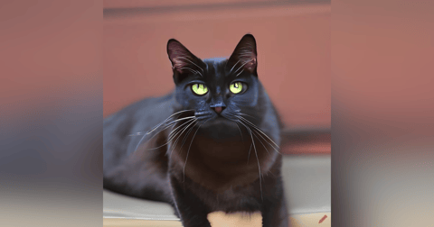 Historias de Miedo Marzo 17 de 2023 ESTHELA Historias de Miedo Marzo 17 de 2023 ESTHELA