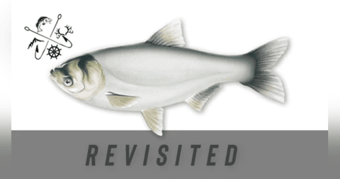 EP. 234 Earth Day Celebration Revisited Series: Asian Carp EP. 234 Earth Day Celebration Revisited Series: Asian Carp