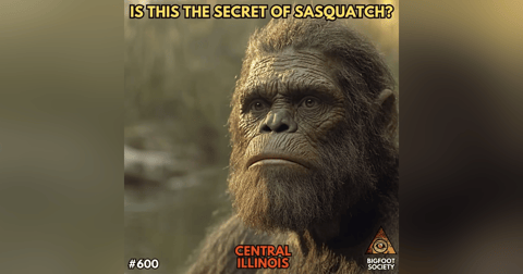 Higher Frequency Sasquatch | Central Illinois Higher Frequency Sasquatch | Central Illinois
