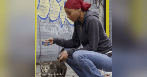 Super Cat Woman | With Sassee Walker, Cat Carer and Animal Welfare Advocate Super Cat Woman | With Sassee Walker, Cat Carer and Animal Welfare Advocate