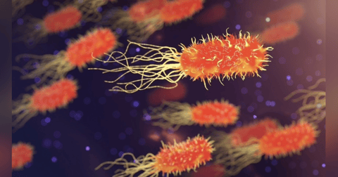 Know Your Sepsis Know Your Sepsis