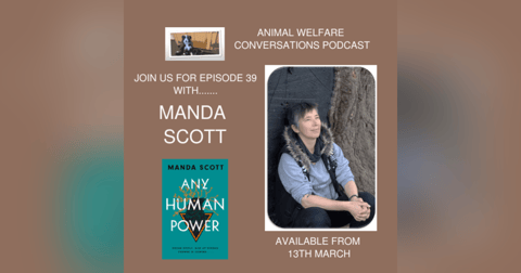 From Vet to Visionary: Manda Scott on Healing, Hope, and Systemic Change From Vet to Visionary: Manda Scott on Healing, Hope, and Systemic Change