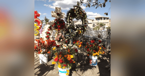 Historias de Miedo Mayo 1 de 2024 DILE QUE ME PERDONE Historias de Miedo Mayo 1 de 2024 DILE QUE ME PERDONE