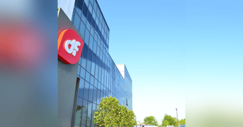 Prensa económica: Debacle en Duro Felguera, entra en preconcurso después del apresurado rescate del Gobierno Prensa económica: Debacle en Duro Felguera, entra en preconcurso después del apresurado rescate del Gobierno