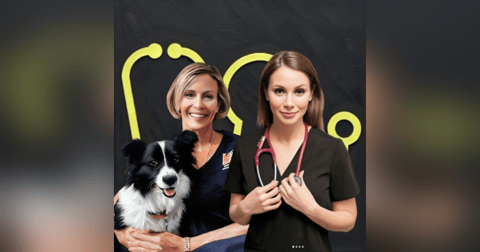 #130: The Joyful Emergency Vet: Essential Strategies For A Long And Happy Career In Emergency Veterinary Practice. With Dr Brooke Schampers and Dr Taleta Hompas #130: The Joyful Emergency Vet: Essential Strategies For A Long And Happy Career In Emergency Veterinary Practice. With Dr Brooke Schampers and Dr Taleta Hompas