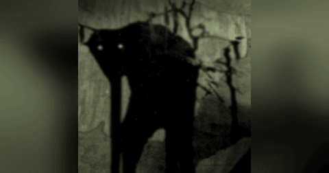 La BESTIA (nahual) Velador HISTORIAS DE TERROR - REDE La BESTIA (nahual) Velador HISTORIAS DE TERROR - REDE