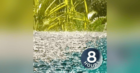 Thunder Sounds with Rain on Pond 8 Hours | Sleep, Study or Focus with Rainstorm White Noise Thunder Sounds with Rain on Pond 8 Hours | Sleep, Study or Focus with Rainstorm White Noise