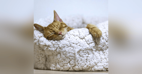 Ideas para DORMIR mejor Ideas para DORMIR mejor