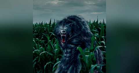 El Plantío Historias De Terror - REDE El Plantío Historias De Terror - REDE