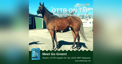 S2 E4: Meet Go Green: Niamh's OTTB Hopeful for the 2025 Retired Racehorse Makeover S2 E4: Meet Go Green: Niamh's OTTB Hopeful for the 2025 Retired Racehorse Makeover