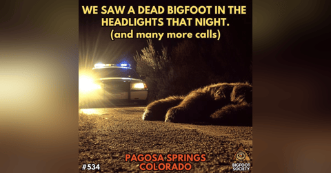 Dead Bigfoot in Colorado! (and other calls) Dead Bigfoot in Colorado! (and other calls)