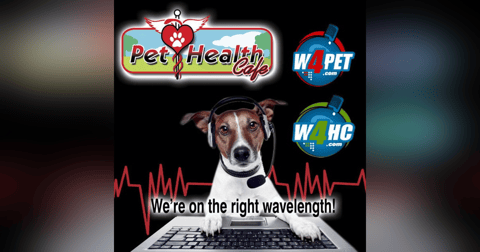 Is that Diagnosis Correct or a Guess? Is that Diagnosis Correct or a Guess?